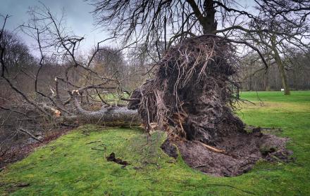 Imagen de archivo de los daños ocasionados por la tormenta Eunice en Holanda.