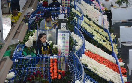 Una mujer trabaja en una planta florícola