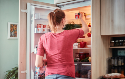 nevera, refrigeradora