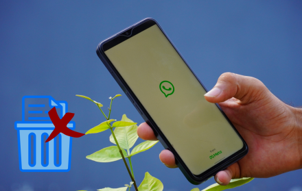 Borrar archivos de WhatsApp