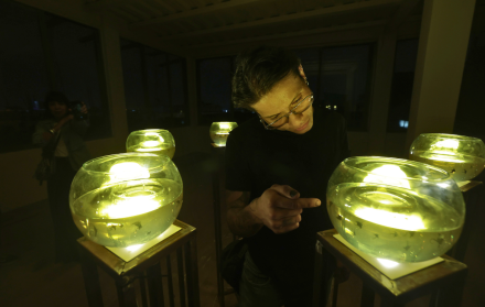 Huesos tatuados y misterio: La nueva exposición de Boris Saltos