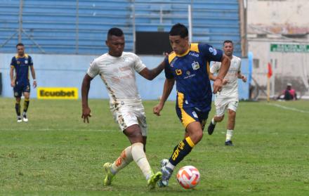Delfín