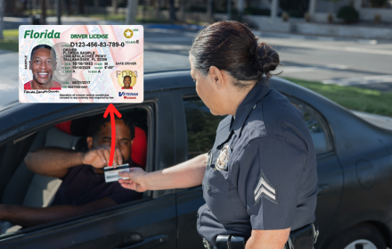 Licencia de conducir de Florida