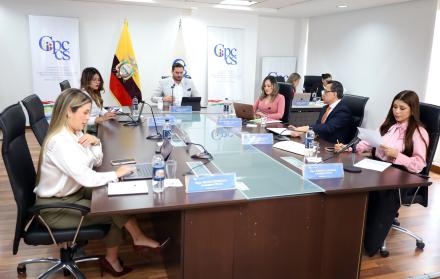 PLENO CPCCS 25 JUNIO 2025