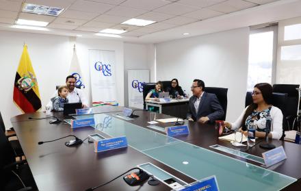 PLENO CPCCS 27 JUNIO 2025