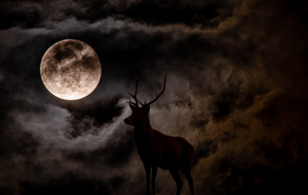 Se podrá observar la Luna del Ciervo este mes de julio.