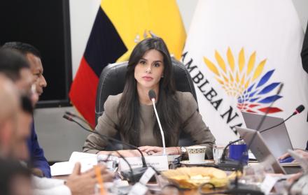Dian Jácome Comisión de Transparencia.