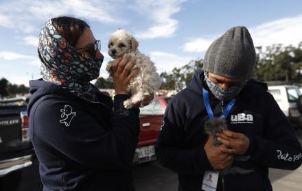 venta ilegal de animales en Quito