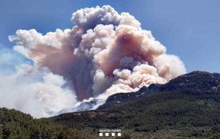 incendio forestal de Paüls (Tarragona)