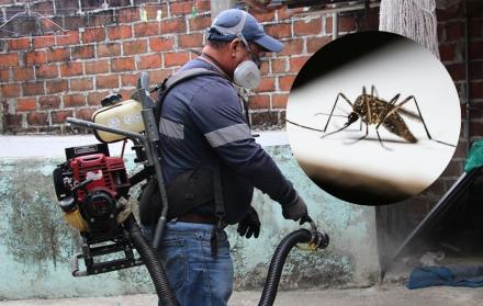 fumigación desratización Guayaquil salud pública julio 2025 CORTESÍA y CANVA