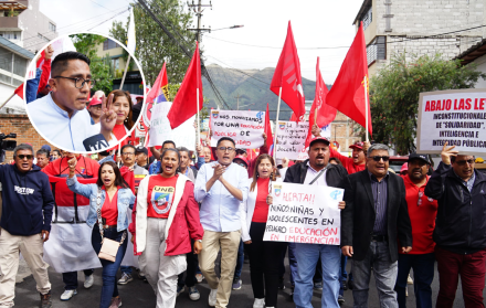 Marcha por la Ley de Integridad Pública