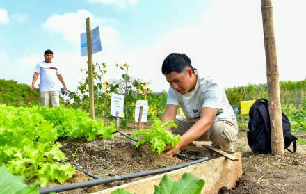 UG Agricultura
