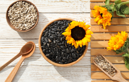 Beneficios de las semillas de girasol en la salud