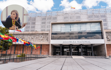 Sybel Martínez, de Rescate Escolar, acudió a la Comisión de la Niñez y Adolescencia de la Asamblea Nacional.
