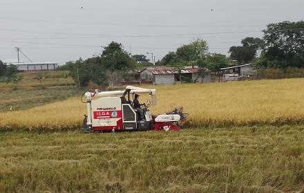 Una maquinaria en un cultivo de arroz