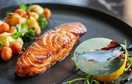 Salmón