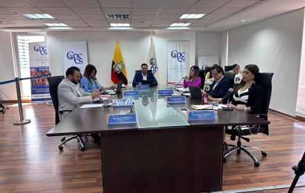 PLENO CPCCS 16 JULIO 2025