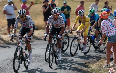 Jhonatan Narváez, Tadej Pogacar, Tour de Francia 2025, UAE Team Emirates