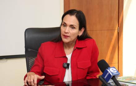 Ministra de Energía, Inés Manzano, en entrevista pasada con los medios.