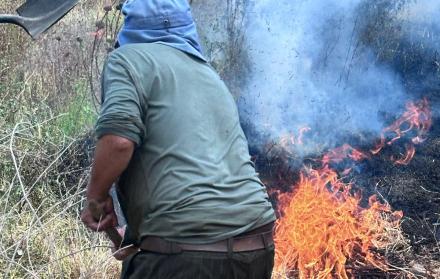 incendios forestales