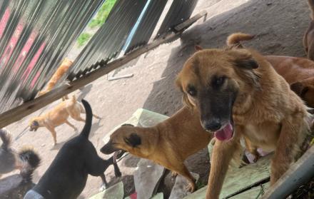 Fundación lucky