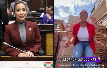 Jadira Bayas, asambleísta de ADN, en el Pleno y en un video en el que aparece con decenas de cocinas de inducción, en campaña electoral.