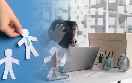 desvinculación de funcionarios
