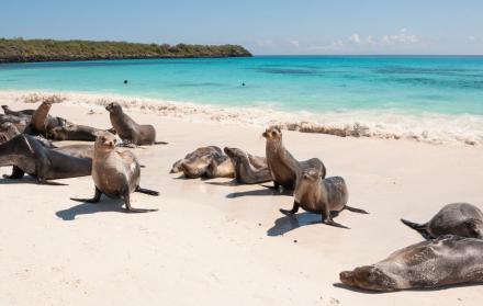 Galápagos