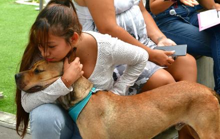 Adopción de animales