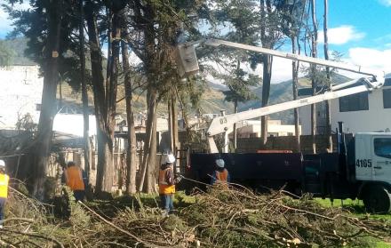 Trabajadores municipales han intensificado la poda de árboles, en medio de la alerta por fuertes vientos en Quito.