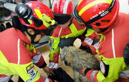 Bomberos Quito