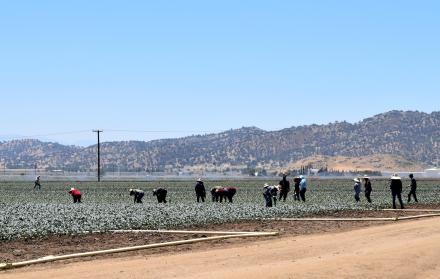 Bakersfield
