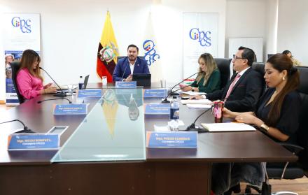 PLENO CPCCS 6 AGOSTO 2025