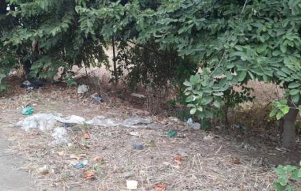 basura villa del rey