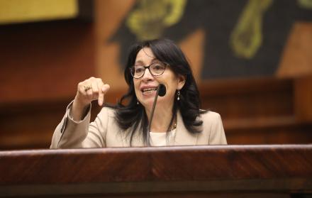 SOLANDA GOYES JUICIO POLITICO