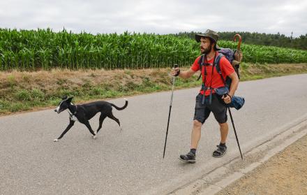 Camino de Santiago