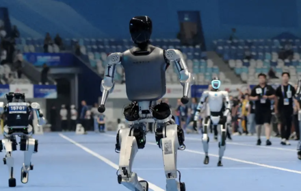 Juegos Olímpicos de robots humanoides