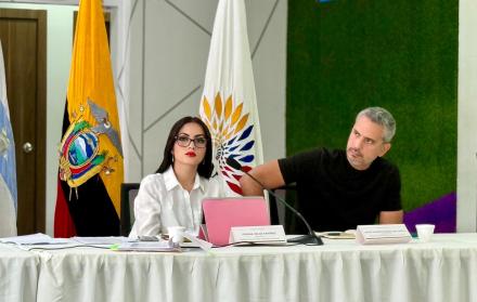 Comisión de la Niñez Viviana Veloz