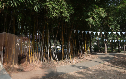 Parque San Felipe