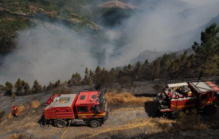 Mundo, España, Europa, Incendios forestales