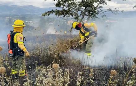 incendio forestal en Nayón