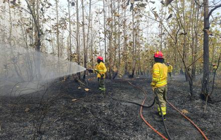 Incendio Ciudad Victoria