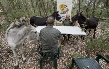 Burros