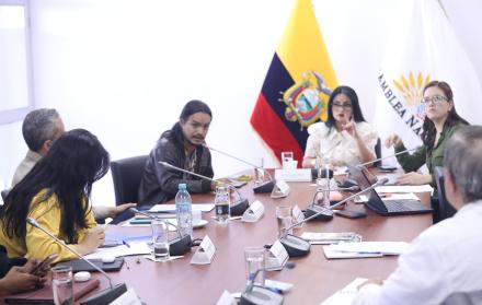 COMISION NIÑEZ Y ADOLESCENCIA ASAMBLEA
