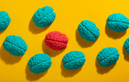 Colesterol en el Cerebro: Funciones Vitales y su Vínculo con Enfermedades Neurodegenerativas (