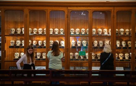 Museos
