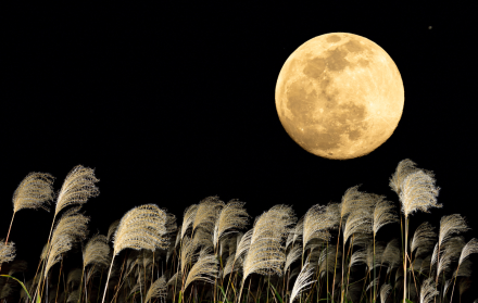 Observar la Luna de cosecha desde casa o el campo, una actividad astronómica sencilla y accesible para todos.