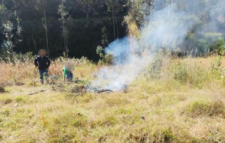 incendios forestales