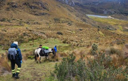 extraviados en el cajas