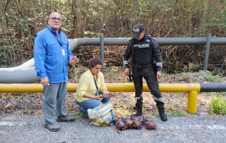 Operativo Cangrejos